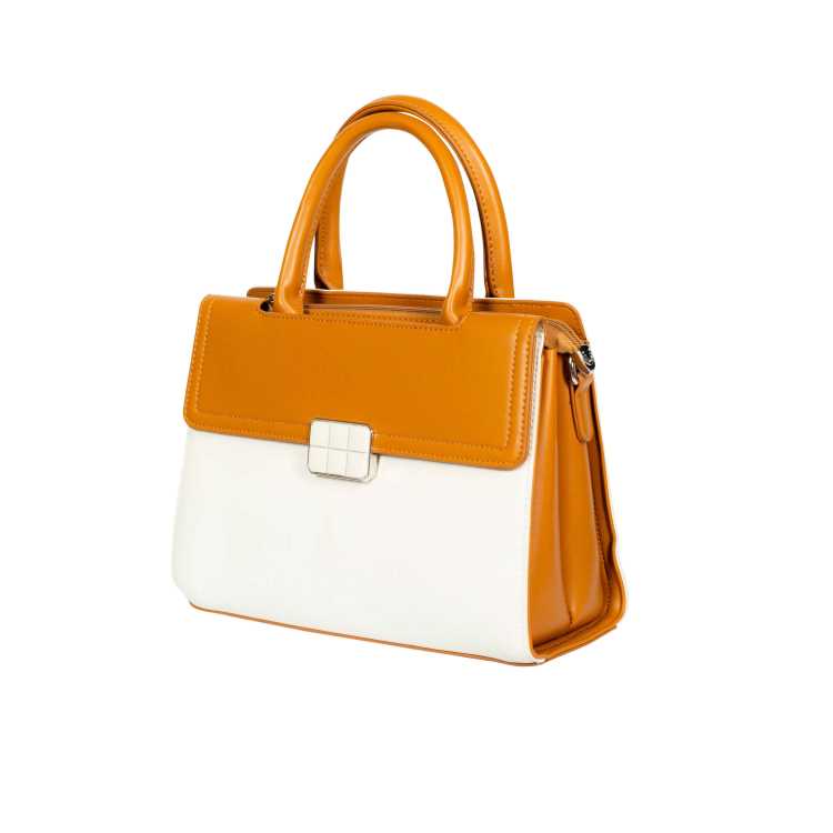 Womens Bag 2
