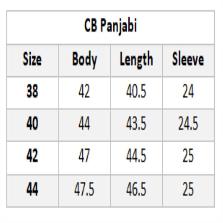 Premium Fancy Cotton Long Panjabi 3