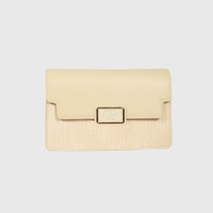 Womens Bag 1